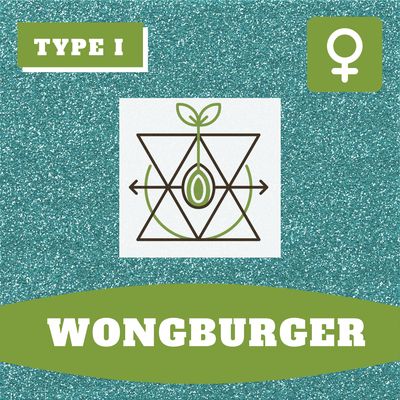 Wongburger - (F) Seeds