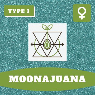 Moonajuana - (F) Seeds