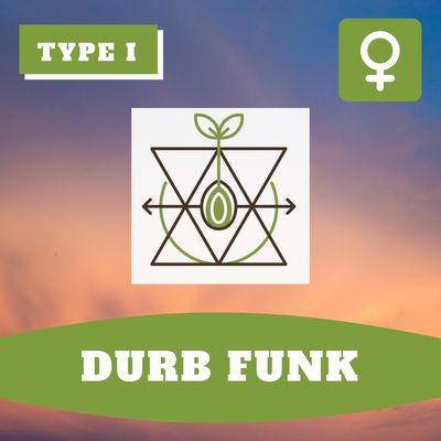 Durb Funk - (F) Seeds