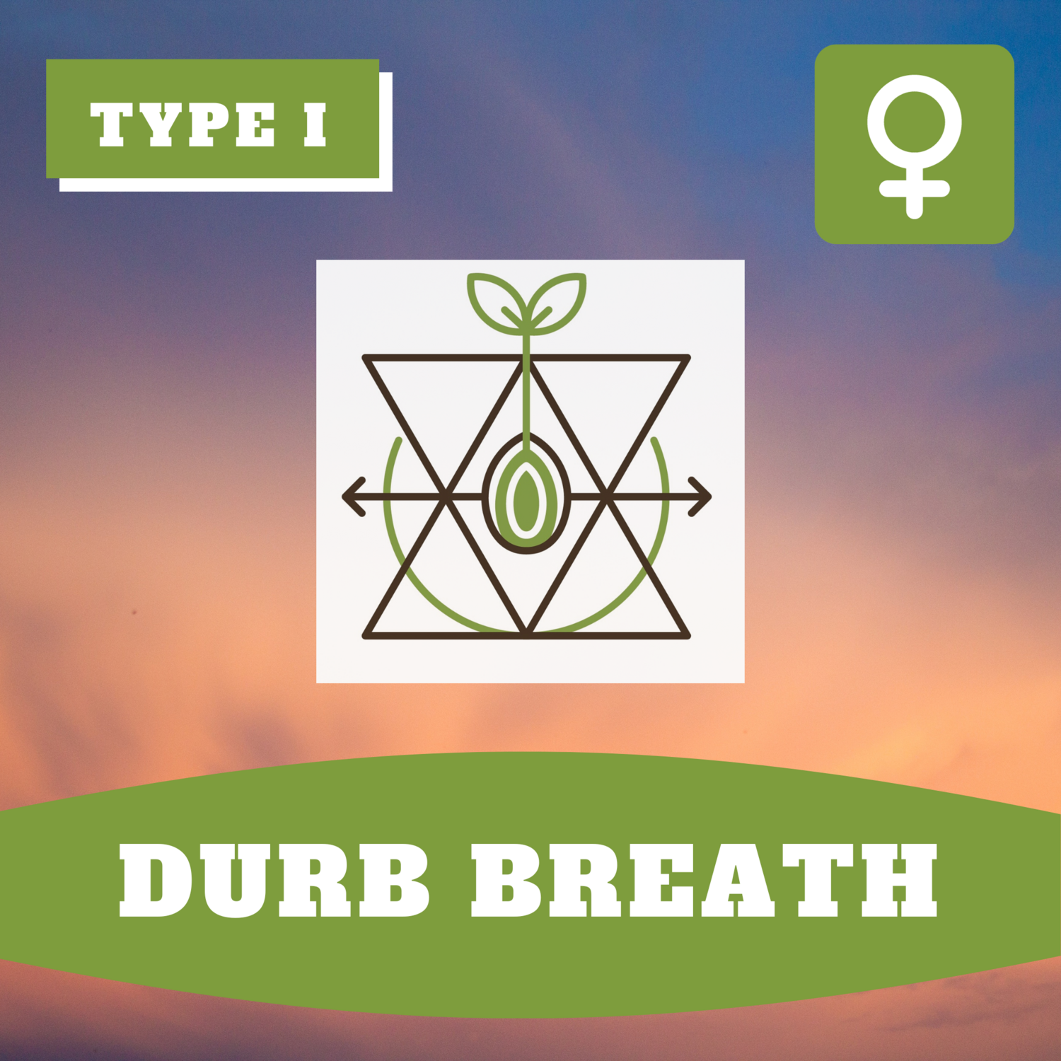 Durb Breath - (F) Seeds