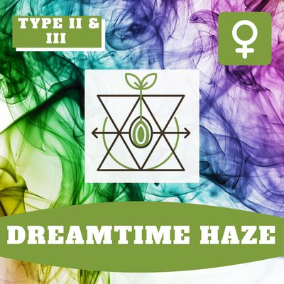 Dreamtime Haze - (F) Seeds Dreamtime Haze - (F) Seeds