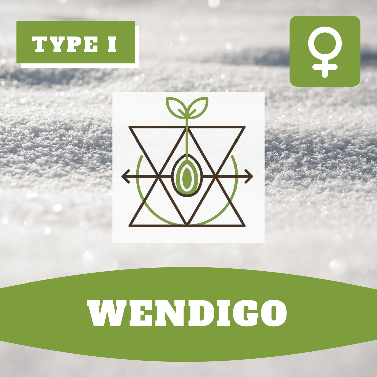 Wendigo - (F) Seeds