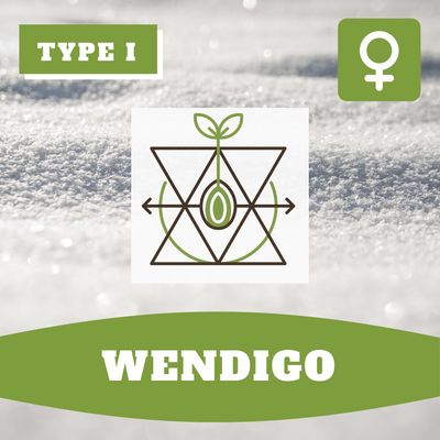 Wendigo - (F) Seeds