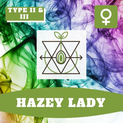 Hazey Lady - (F) Seeds Hazey Lady - (F) Seeds