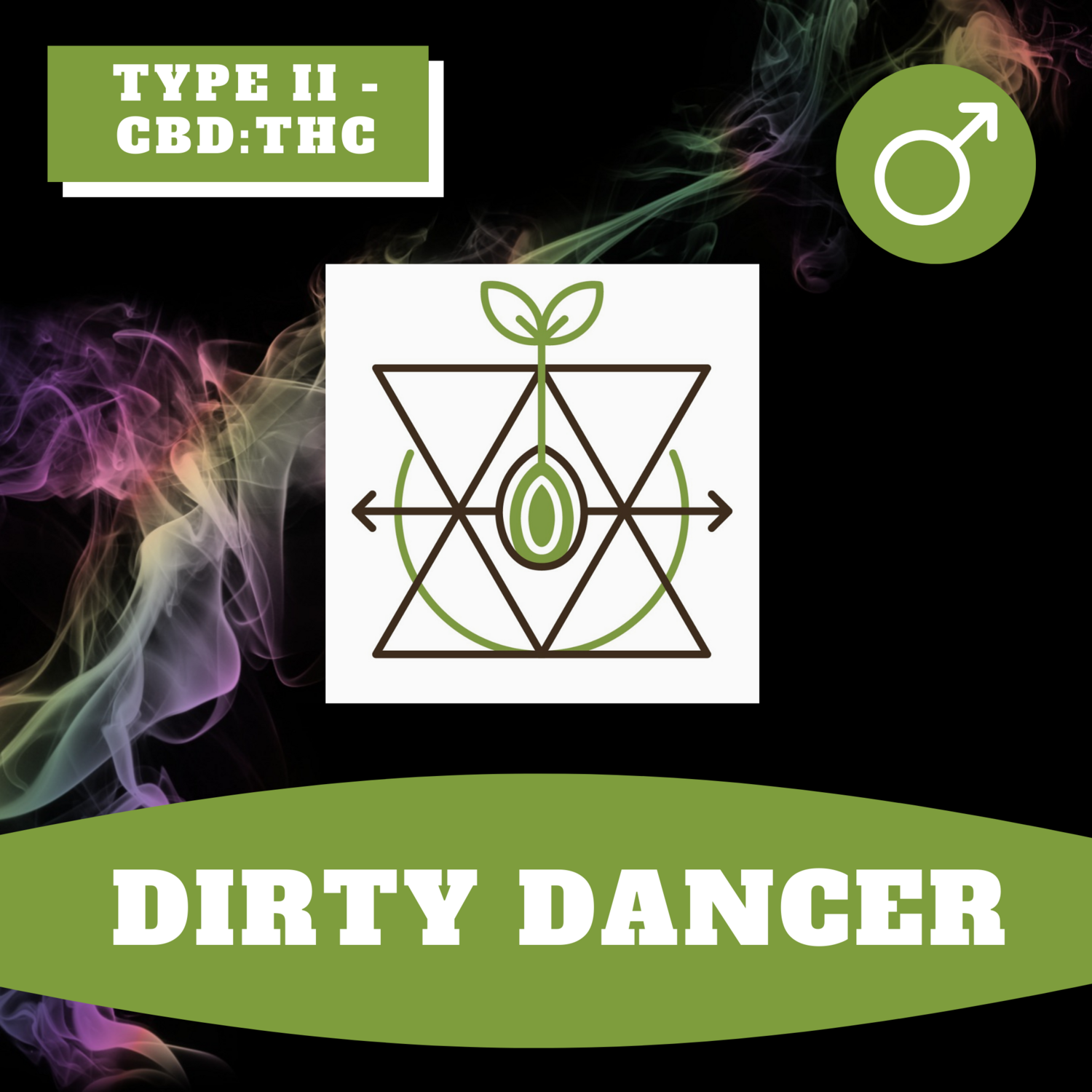 Dirty Dancer - 12 (R) Seeds Dirty Dancer - 12 (R) Seeds