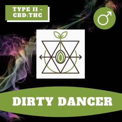 Dirty Dancer - 12 (R) Seeds Dirty Dancer - 12 (R) Seeds