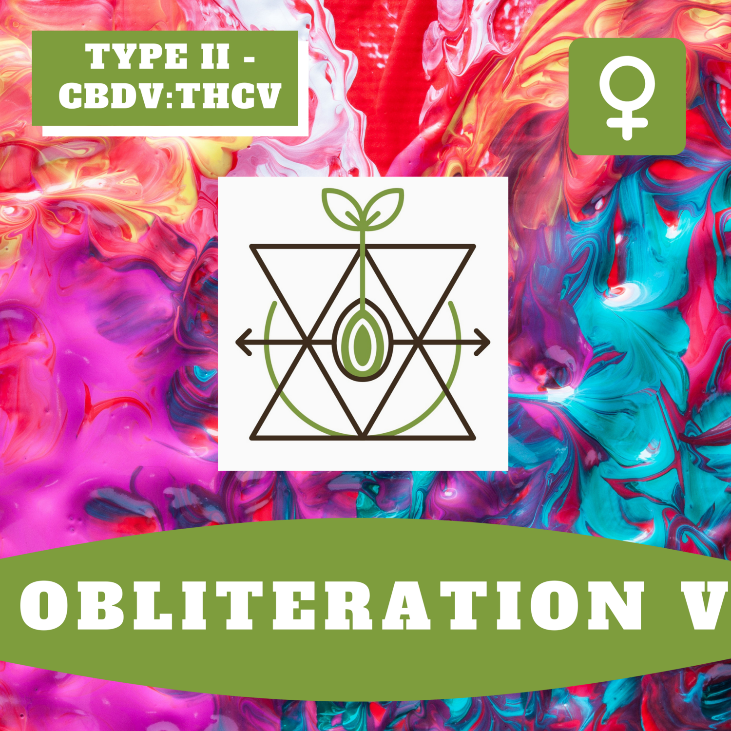 Obliteration V - 12 (F) Seeds