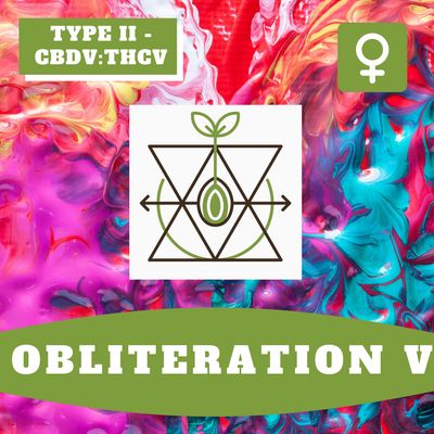 Obliteration V - 12 (F) Seeds Obliteration V - 12 (F) Seeds