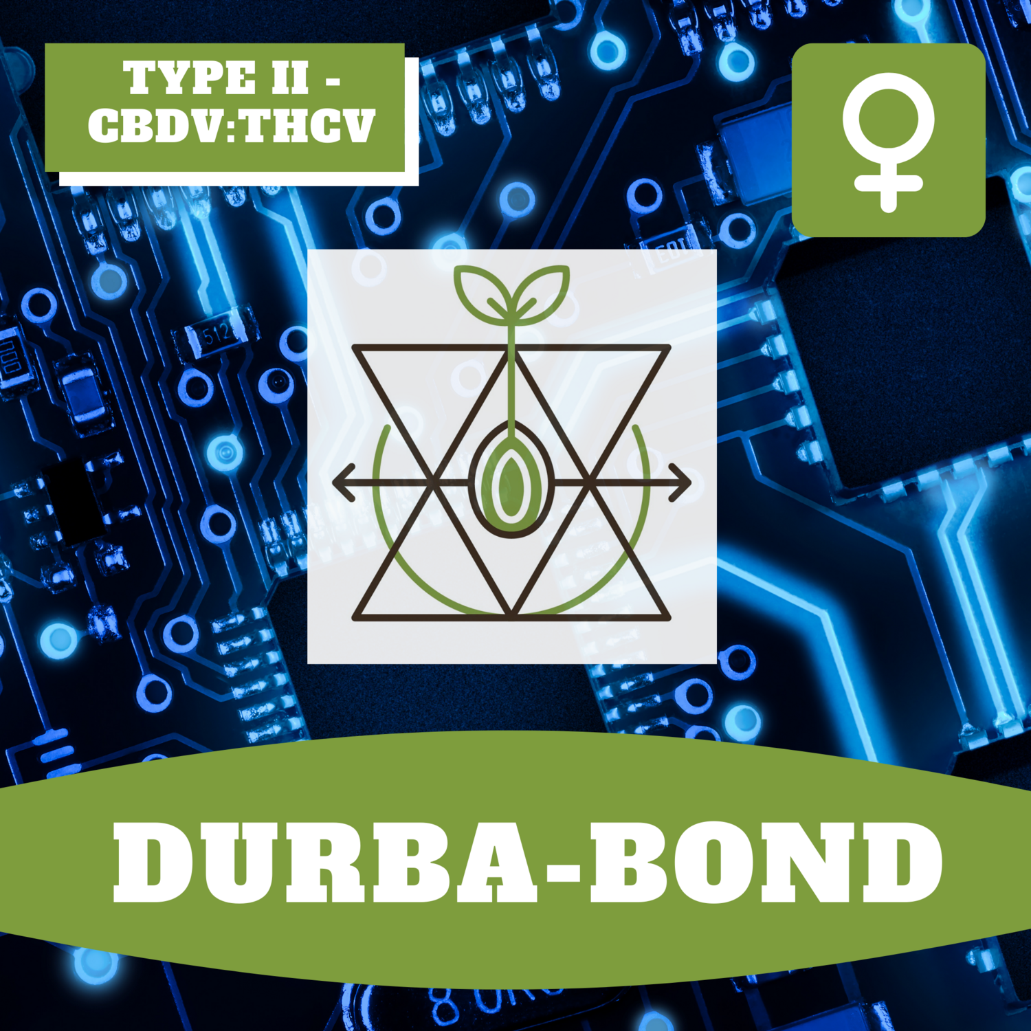 Durba-Bond - 12 (F) Seeds