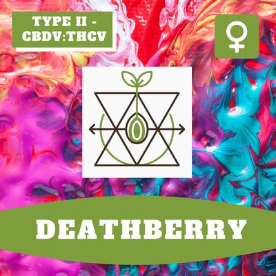 Deathberry - 12 (F) Seeds Deathberry - 12 (F) Seeds