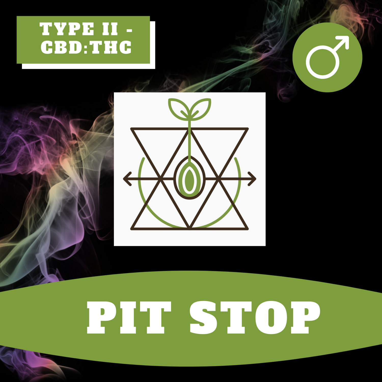 Pit Stop - 12 (R) Seeds Pit Stop - 12 (R) Seeds