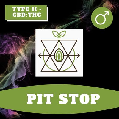 Pit Stop - 12 (R) Seeds Pit Stop - 12 (R) Seeds