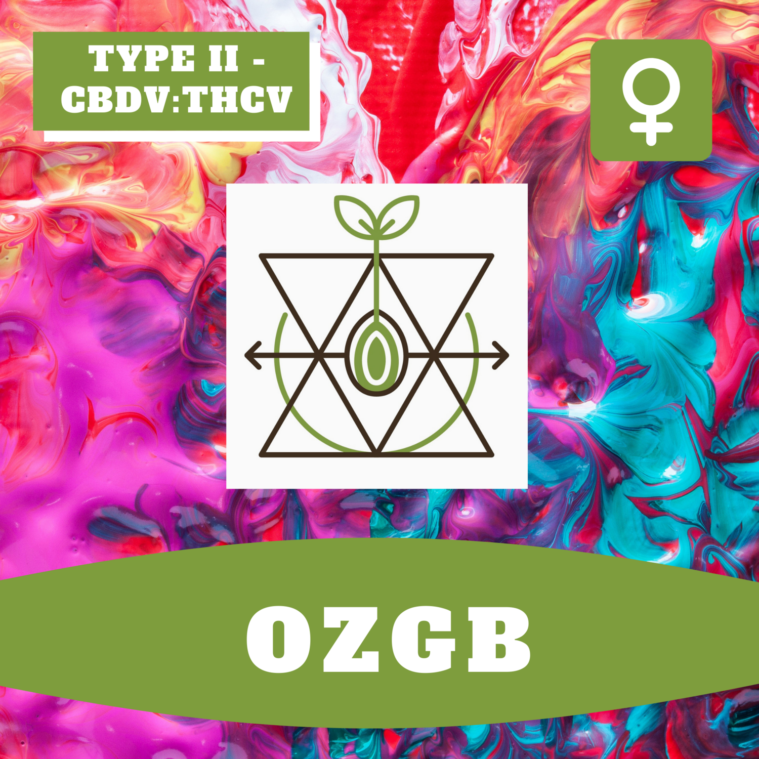 OZGB - 12 (F) Seeds