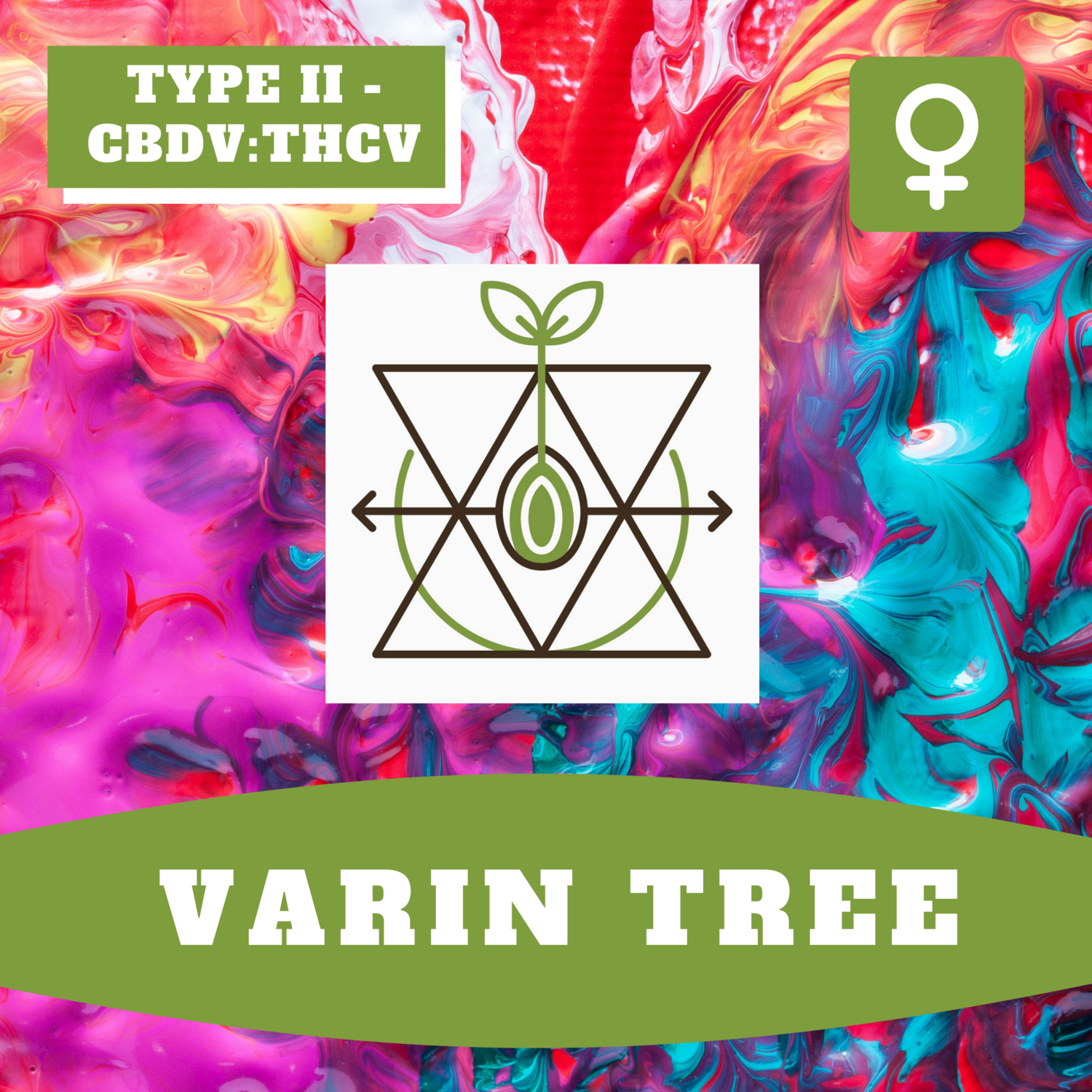 Varin Tree - 12 (F) Seeds Varin Tree - 12 (F) Seeds