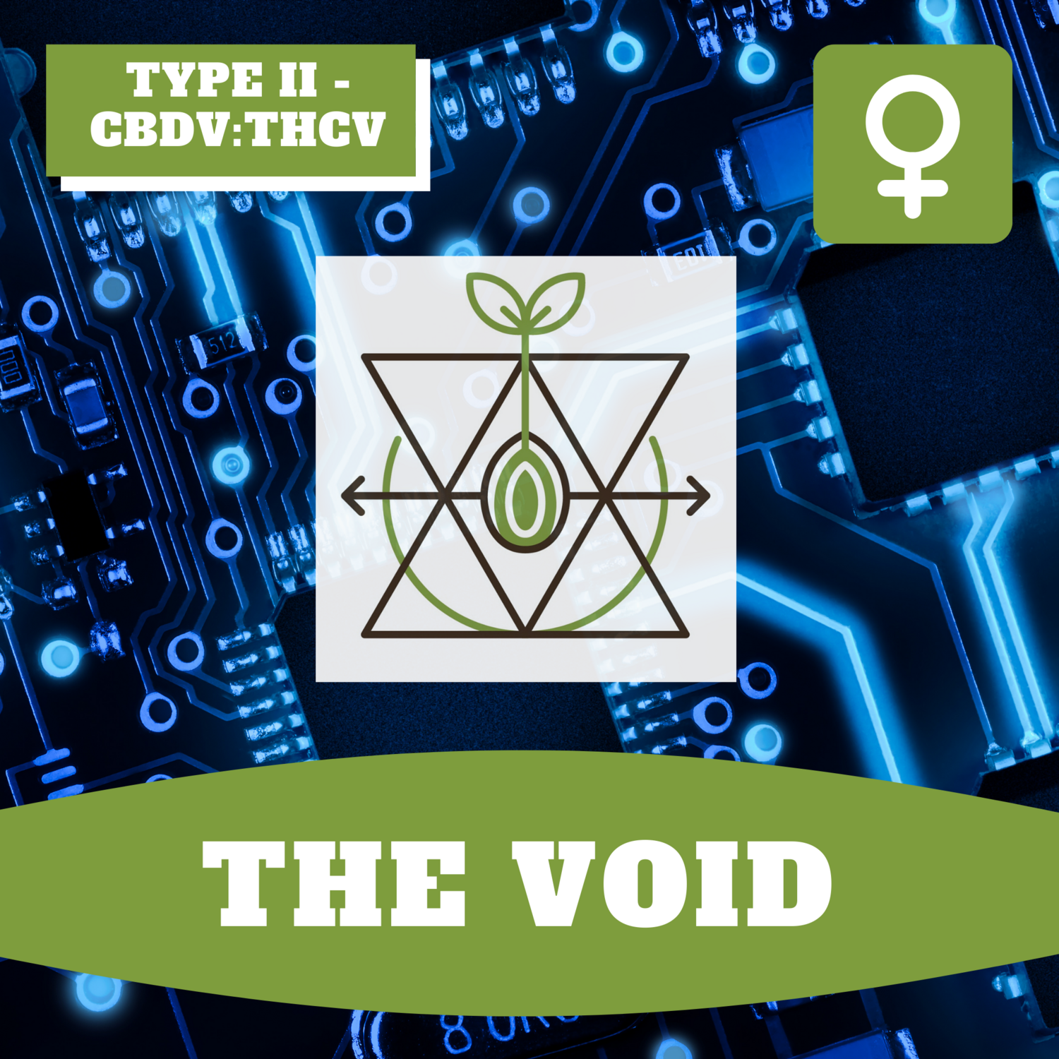 The Void - 12 (F) Seeds
