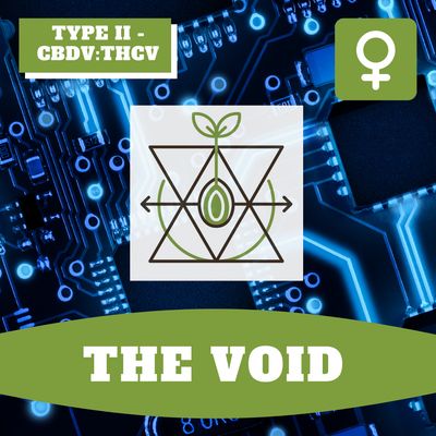 The Void - 12 (F) Seeds