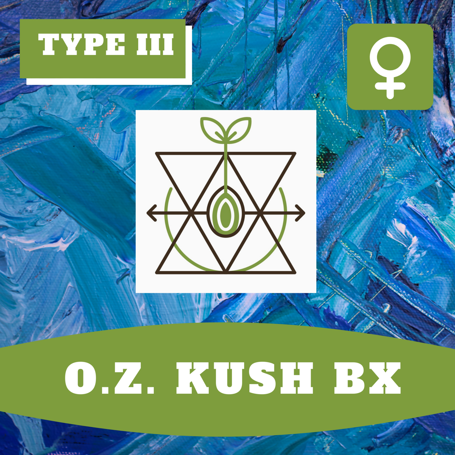* O.Z. Kush BX (F) Seeds* * O.Z. Kush BX (F) Seeds*
