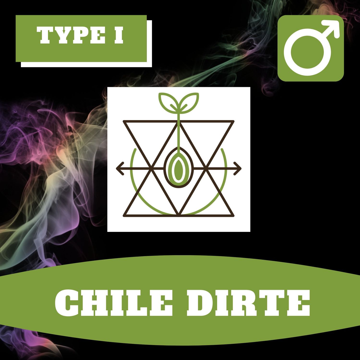 - Chile Dirte (R) - 12 (R) Seeds