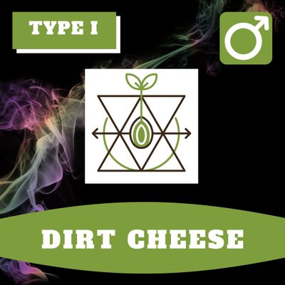 Dirt Cheese (R) - 12 (R) Seeds Dirt Cheese (R) - 12 (R) Seeds