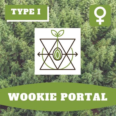 * Wookie Portal (F) * - 12 Seeds * Wookie Portal (F) * - 12 Seeds