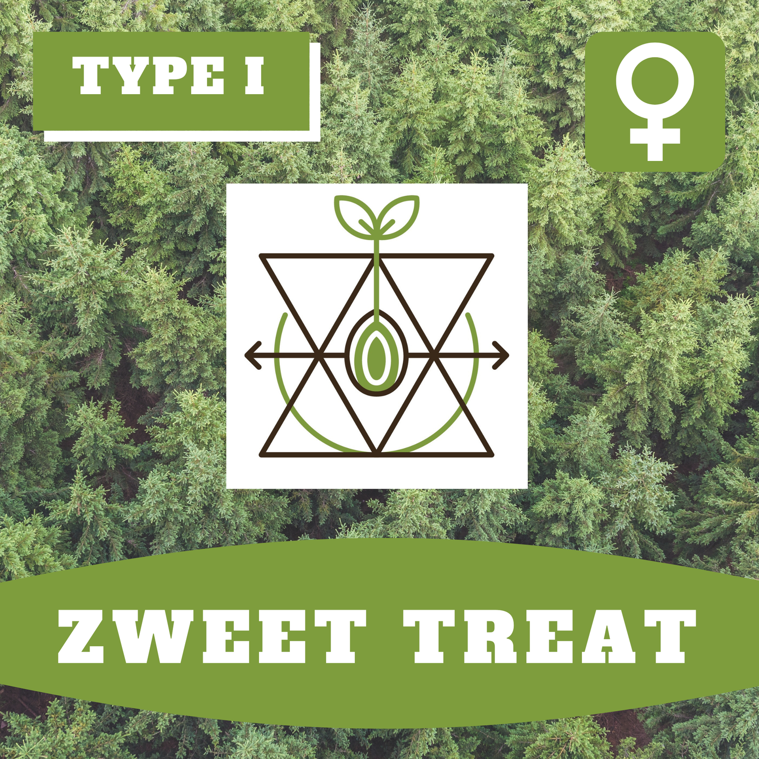 * Zweet Treat (F) * - 12 Seeds * Zweet Treat (F) * - 12 Seeds
