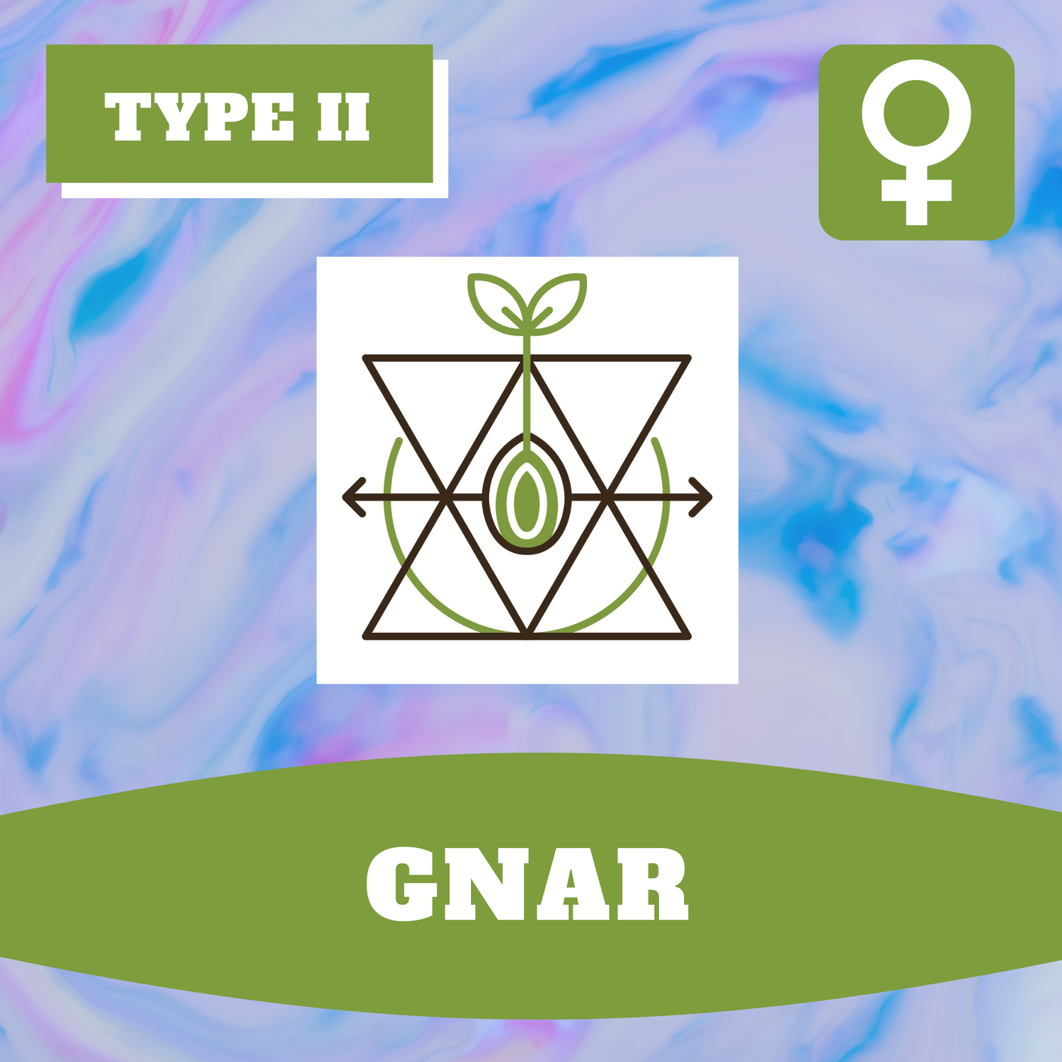 Gnar - 12 (F) Seeds