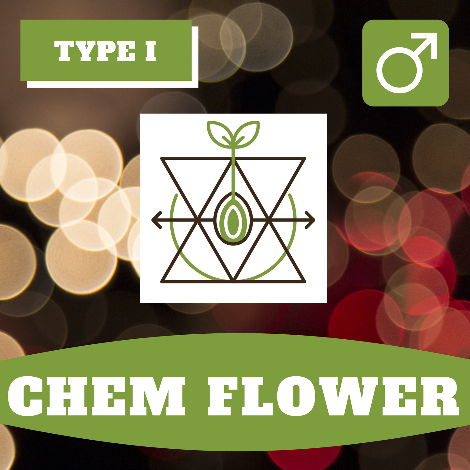 Chem Flower - 12 (R) Seeds Chem Flower - 12 (R) Seeds