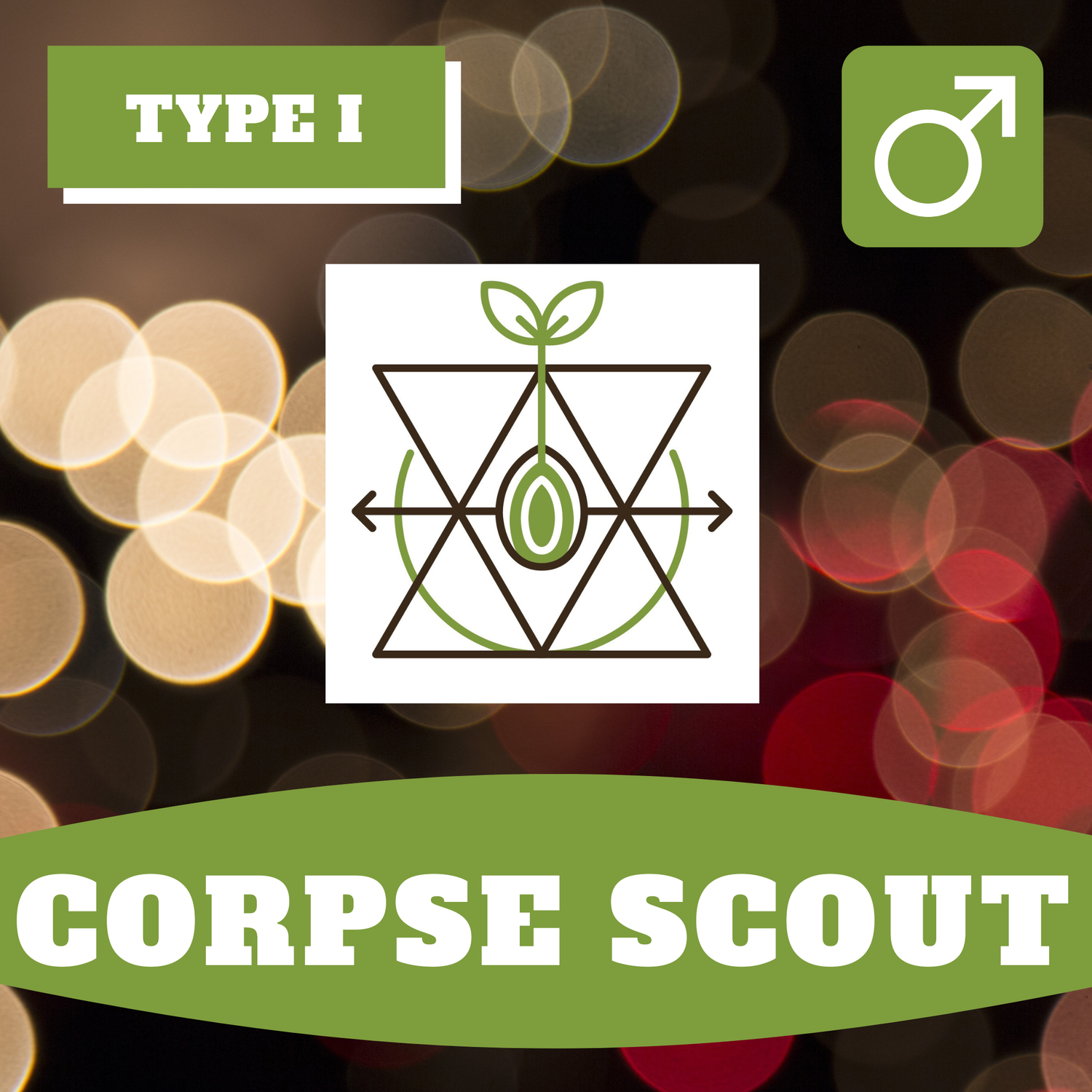 Corpse Scout - 12 (R) Seeds
