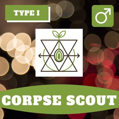 Corpse Scout - 12 (R) Seeds Corpse Scout - 12 (R) Seeds