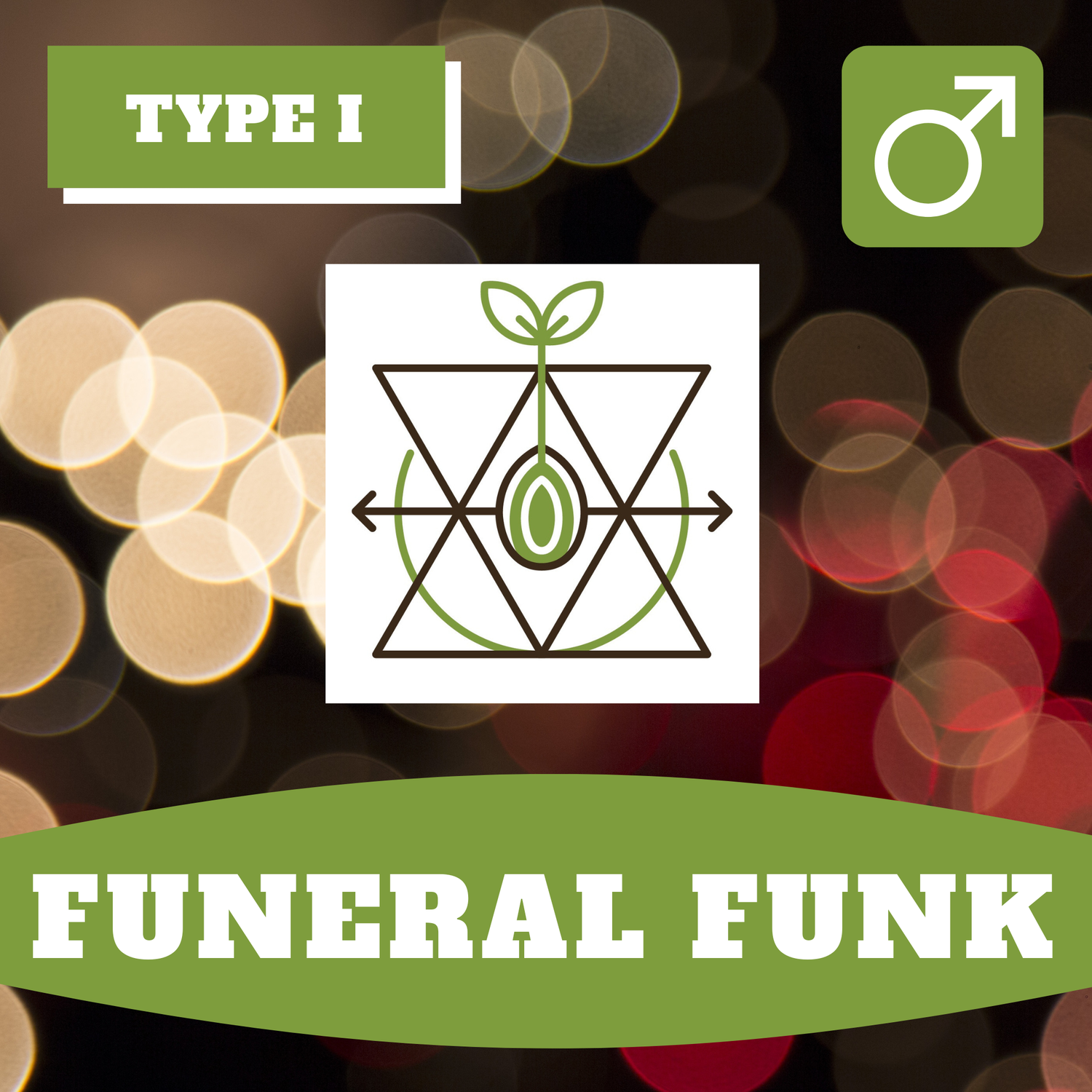 Funeral Funk - 12 (R) Seeds