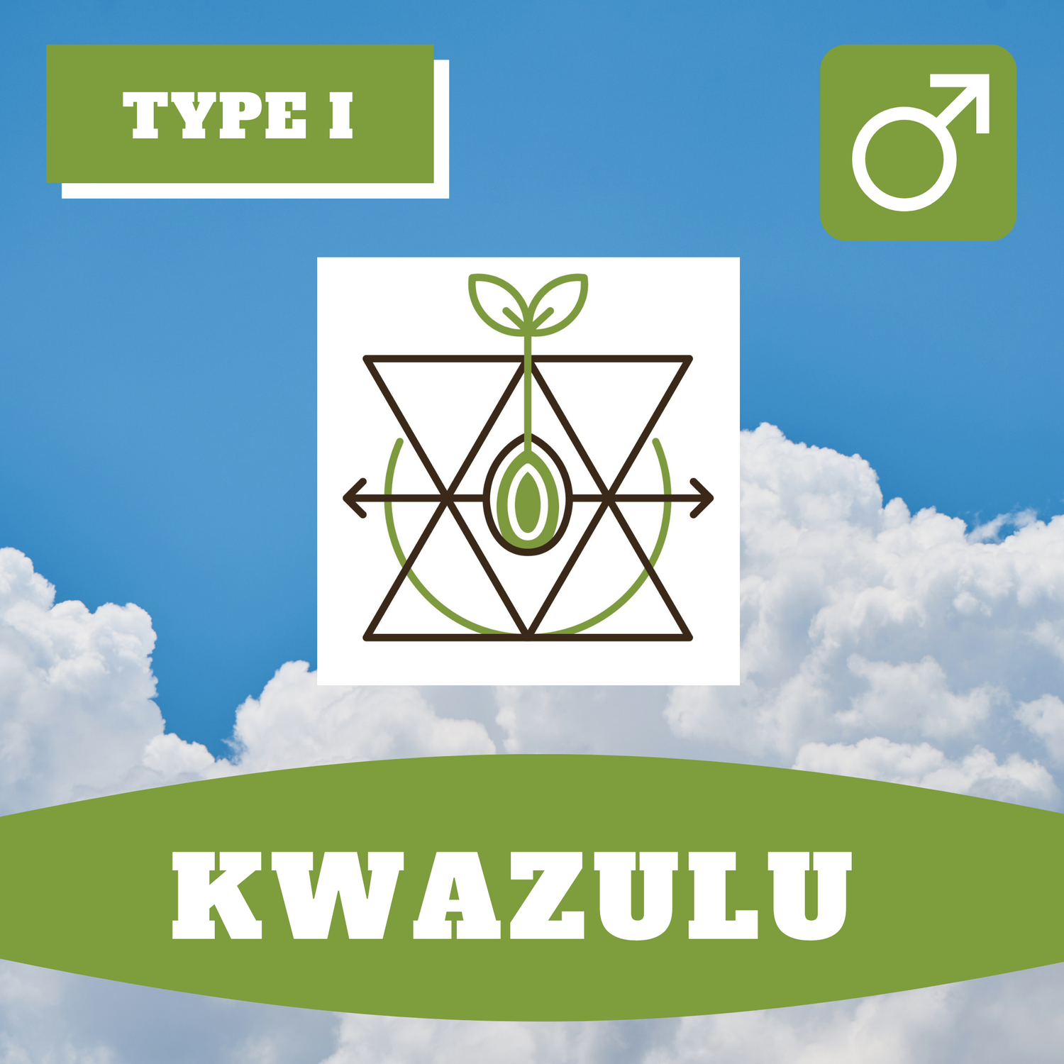 Kwazulu Preservation - 12 (R) Seeds