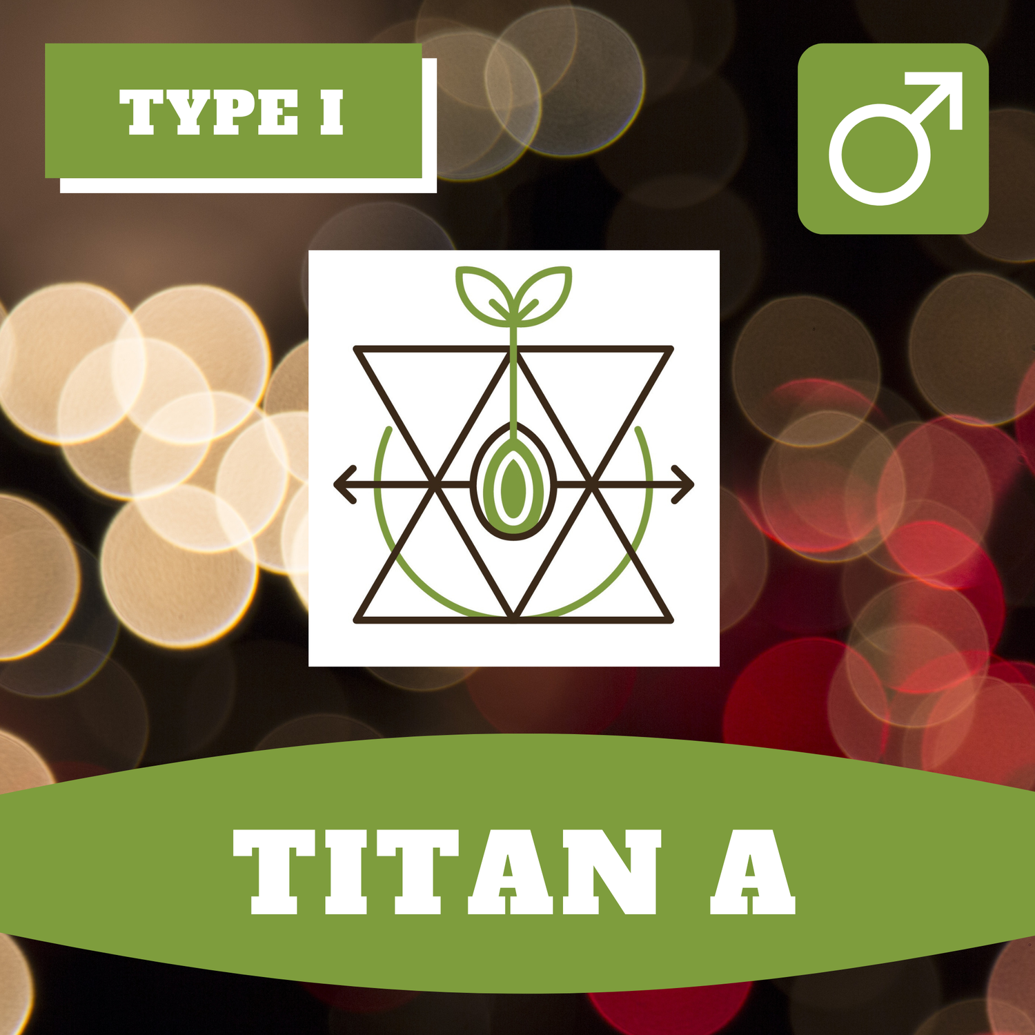 Titan A - 12 (R) Seeds Titan A - 12 (R) Seeds