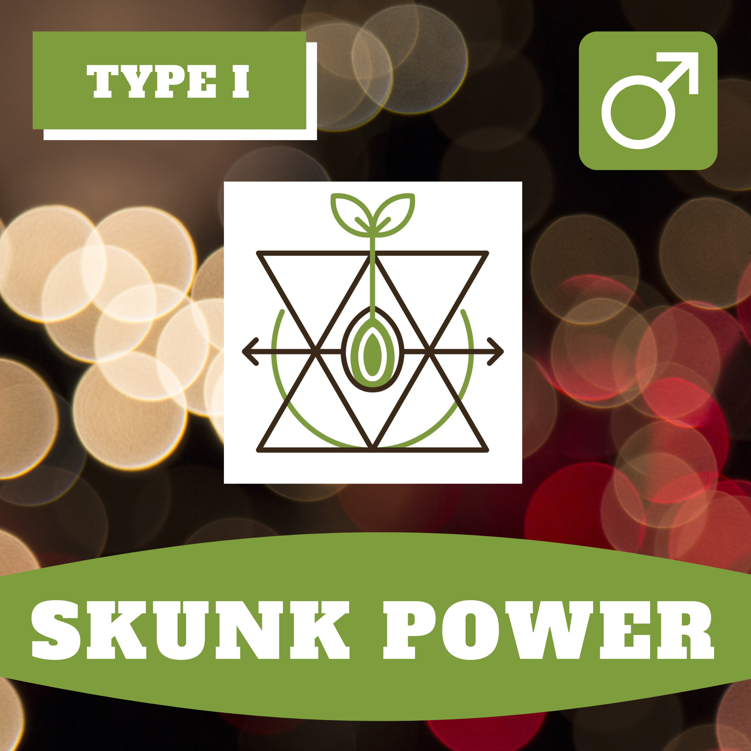 Skunk Power - 12 (R) Seeds