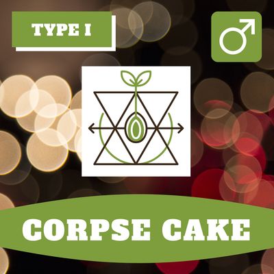 Corpse Cake - 12 (R) Seeds Corpse Cake - 12 (R) Seeds
