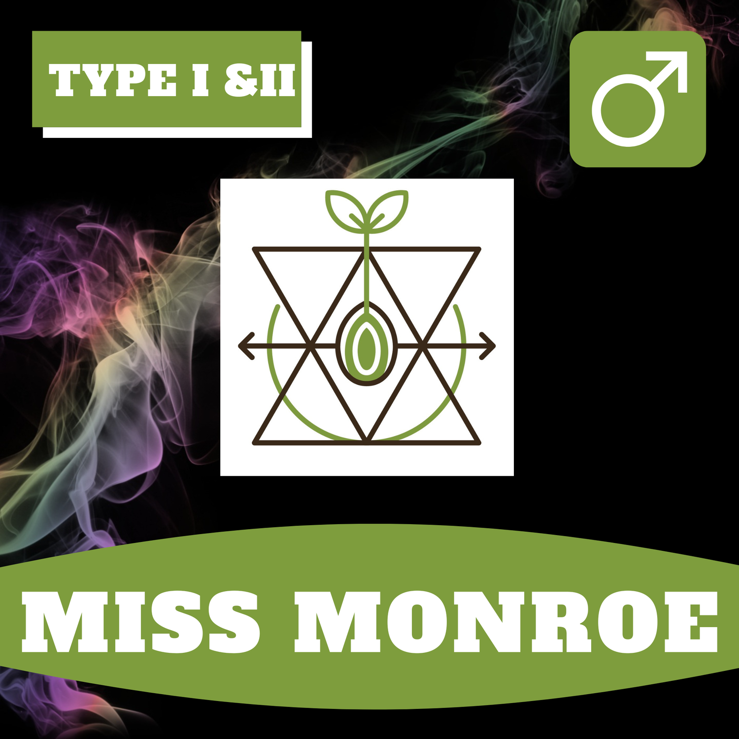 Miss Monroe - 12 (R) Seeds Miss Monroe - 12 (R) Seeds