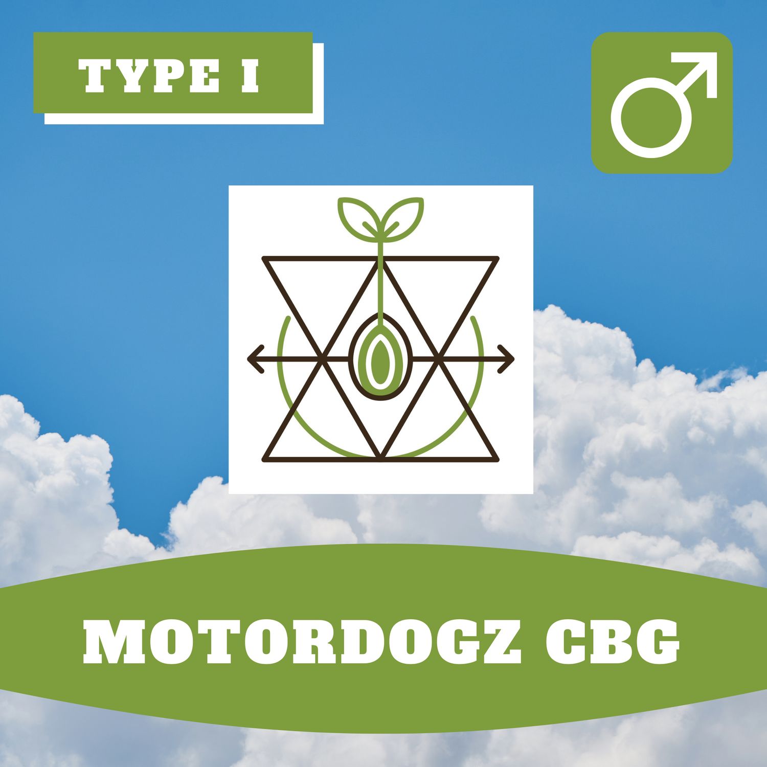MotorDogz CBG - 12 (R) Seeds MotorDogz CBG - 12 (R) Seeds