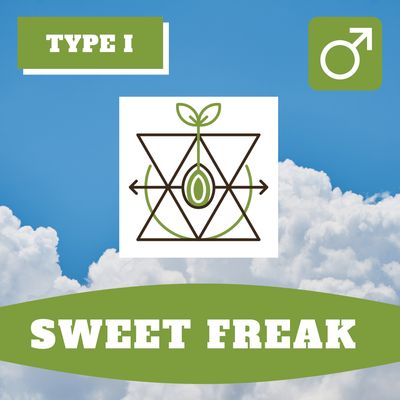 Sweet Freak - 12 (R) Seeds Sweet Freak - 12 (R) Seeds