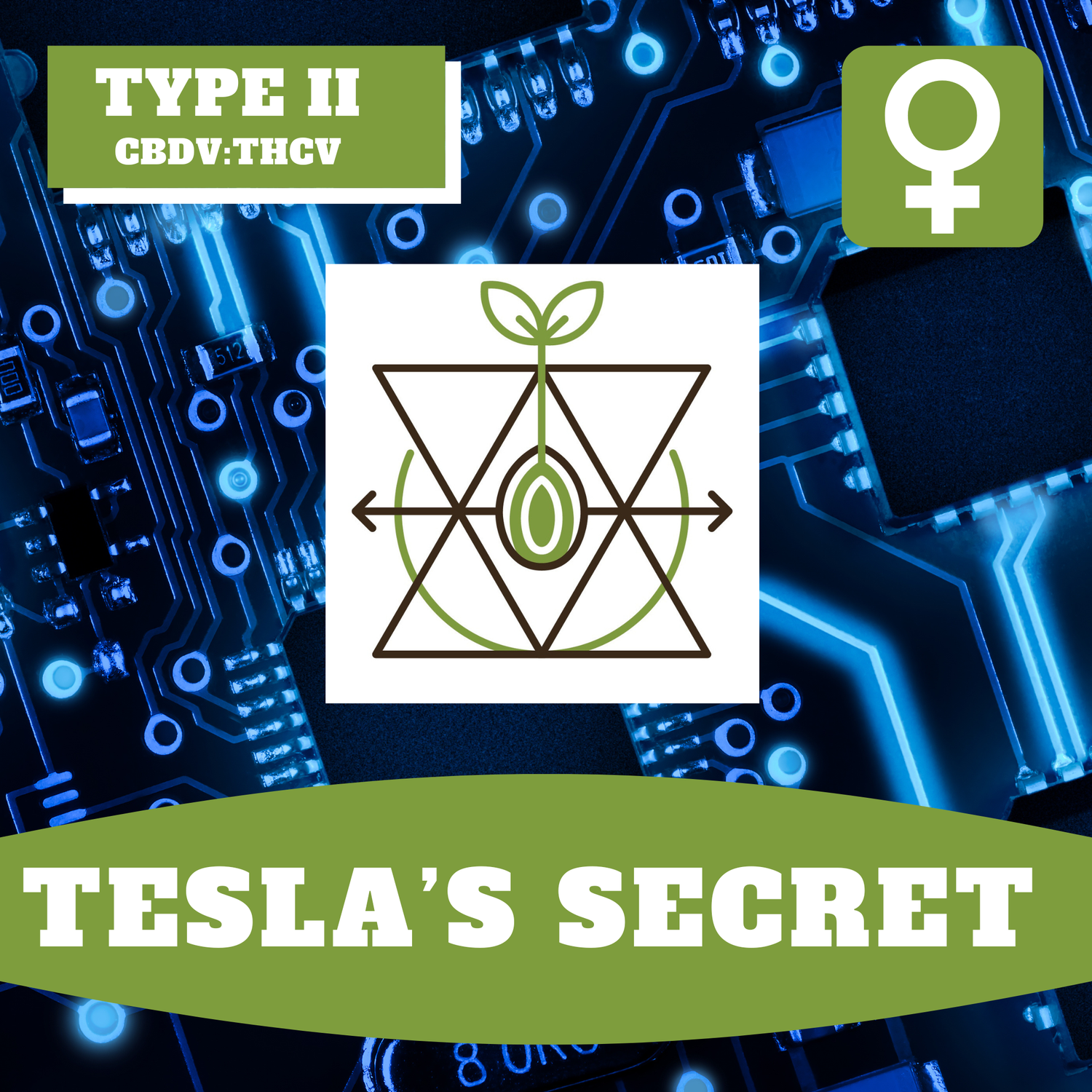 Tesla's Secret - 12 (F) Seeds