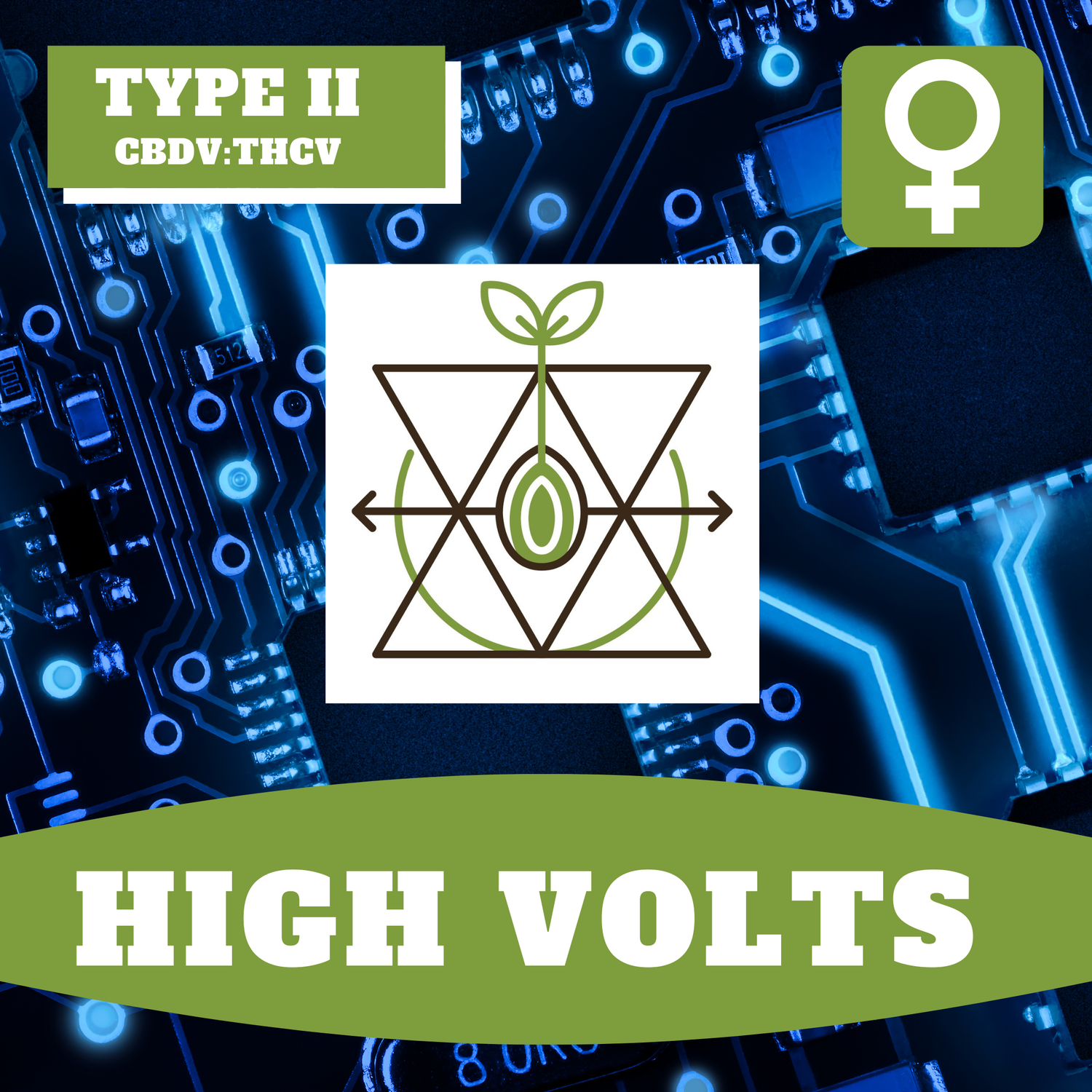 High Volts - 12 (F) Seeds