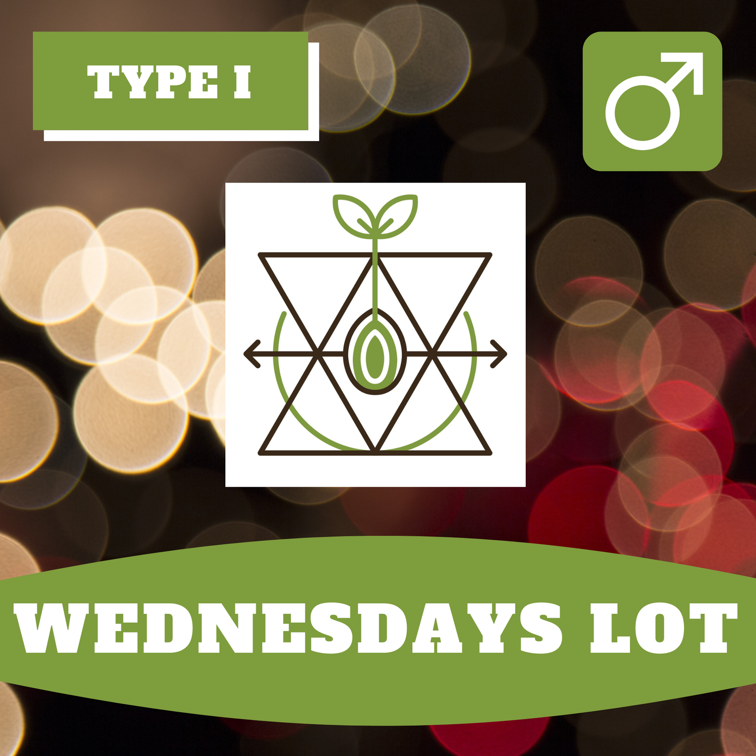 Wednesday's Lot - 12 (R) Seeds