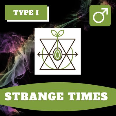 Strange Times - 12 (R) Seeds Strange Times - 12 (R) Seeds