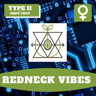 Redneck Vibes - 12 (F) Seeds