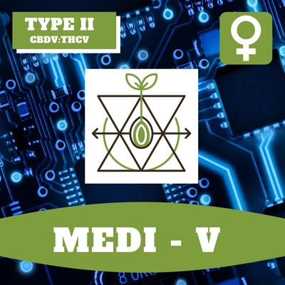 Medi V - 12 (F) Seeds