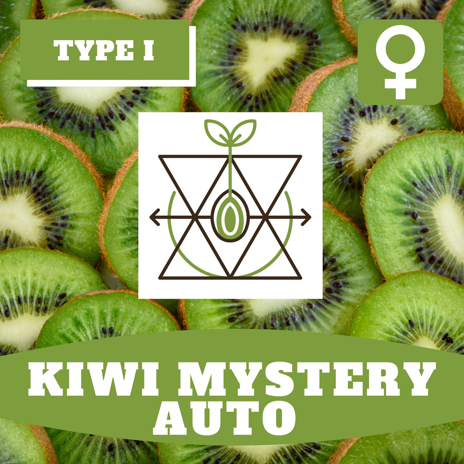 Kiwi Mystery Auto - 12 (F) Seeds