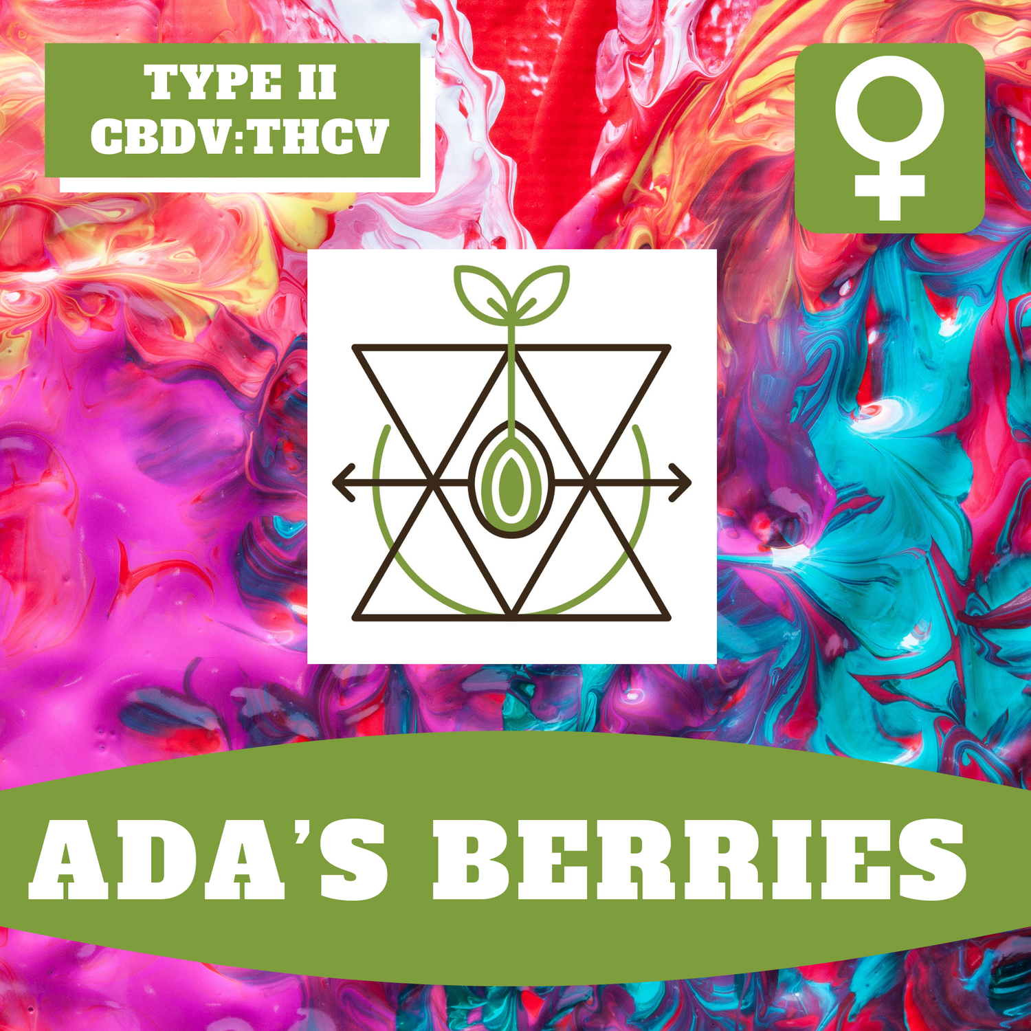 Ada's Berries - 12 (F) Seeds