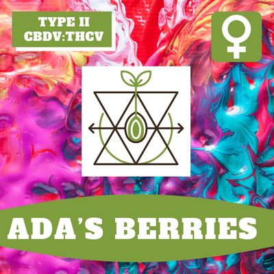 Ada's Berries - 12 (F) Seeds Ada's Berries - 12 (F) Seeds