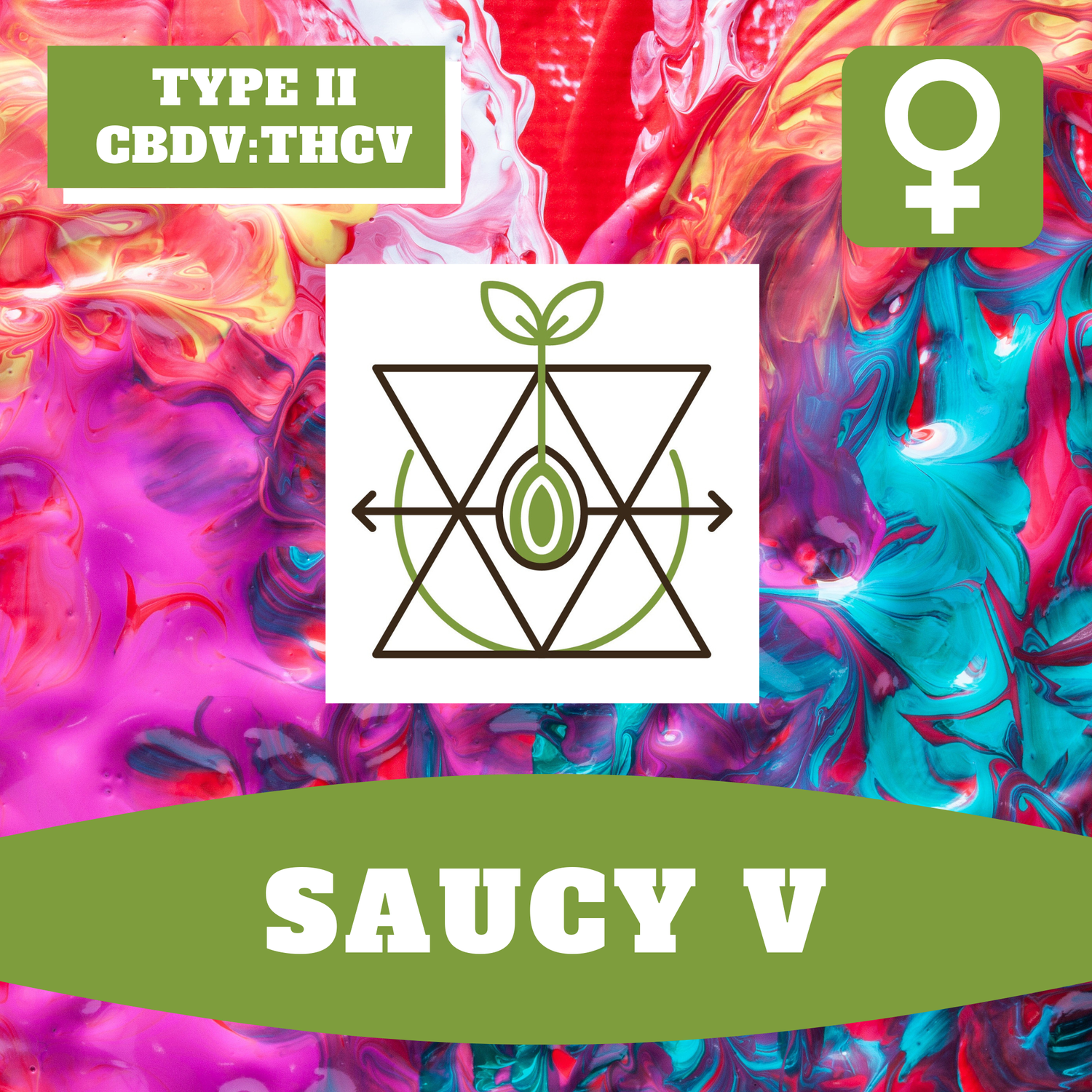 Saucy V - 12 (F) Seeds