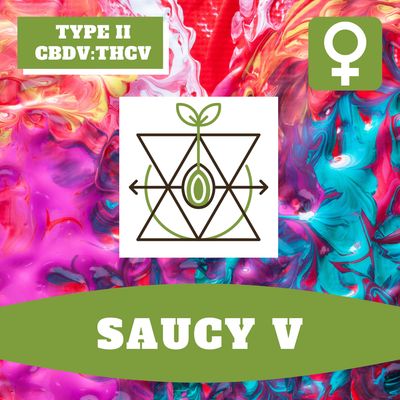 Saucy V - 12 (F) Seeds Saucy V - 12 (F) Seeds