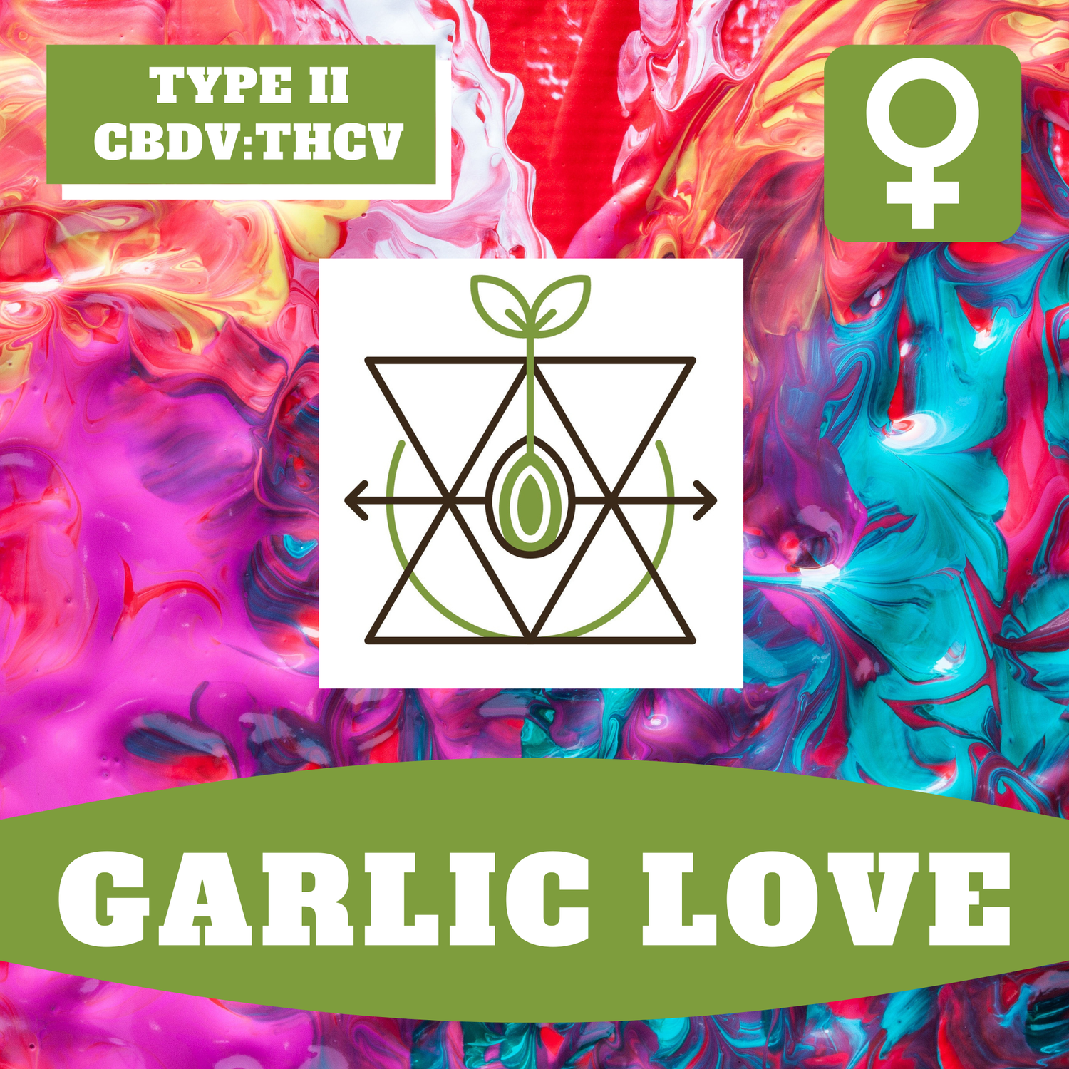 Garlic Love - 12 (F) Seeds