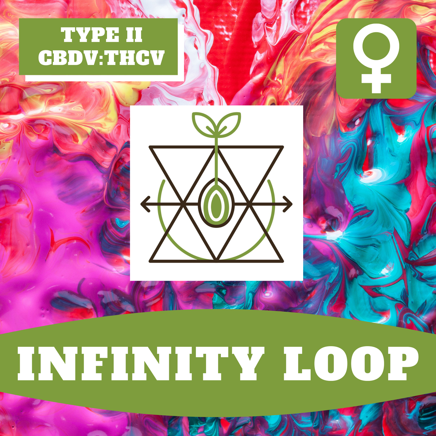 Infinity Loop - 12 (F) Seeds